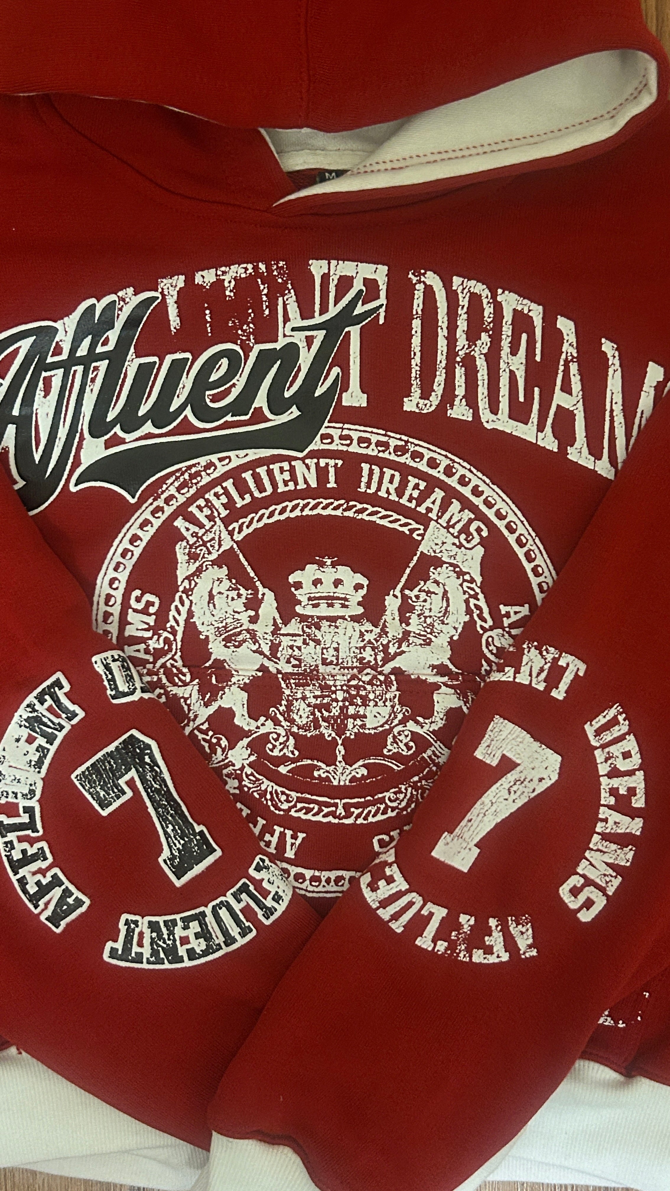 Affluent Dreams Pullover Hoodie Red
